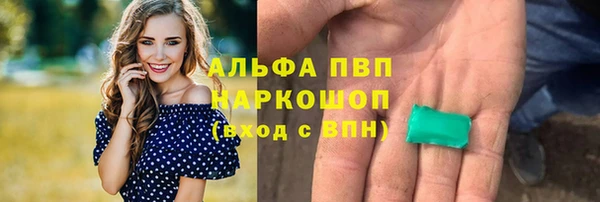 винт Абаза