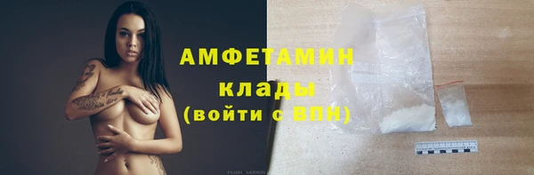 винт Абаза