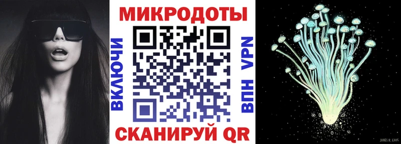 мега как зайти  Нолинск  Псилоцибиновые грибы Psilocybe 